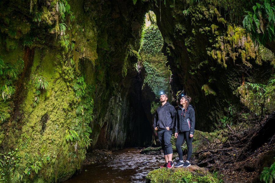 Manawatu | Glow Worms | Limestone-Creek-Reserve-Glow-Worm-Caves