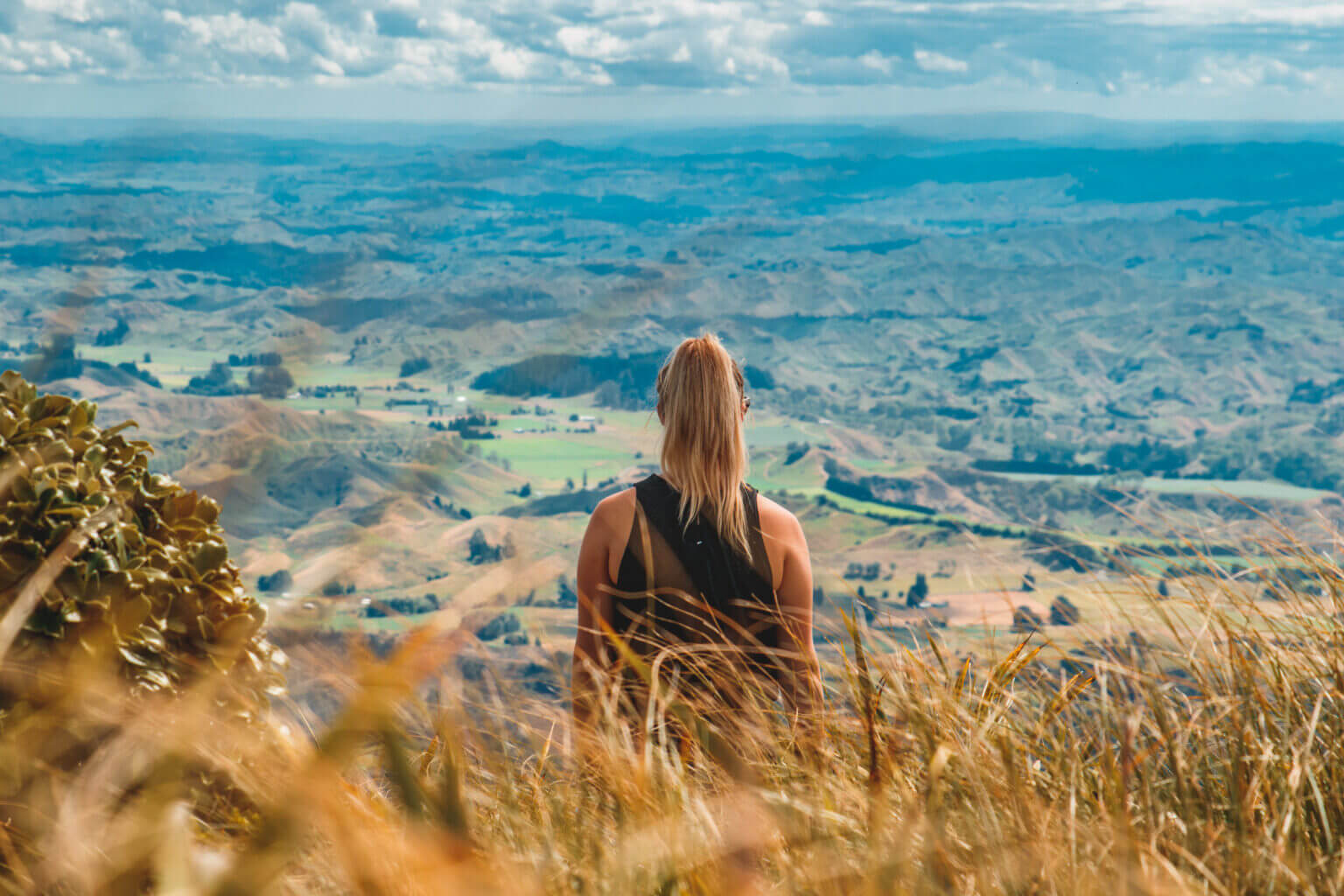 Manawatu | Rangiwahia Hut Track