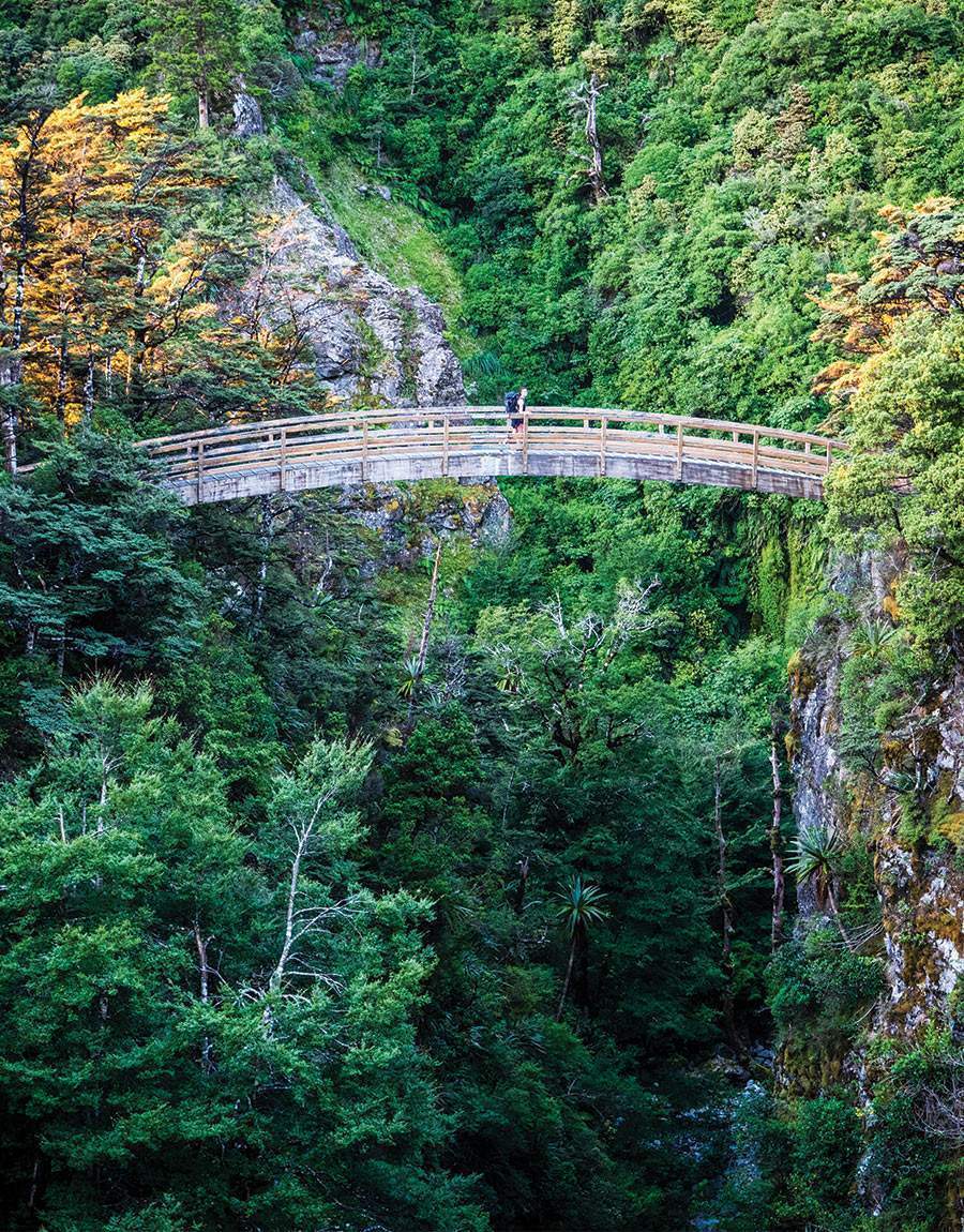 Palmerston North & Manawatu | Rangiwahia-track-walk-bridge